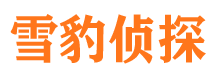 辰溪外遇出轨调查取证